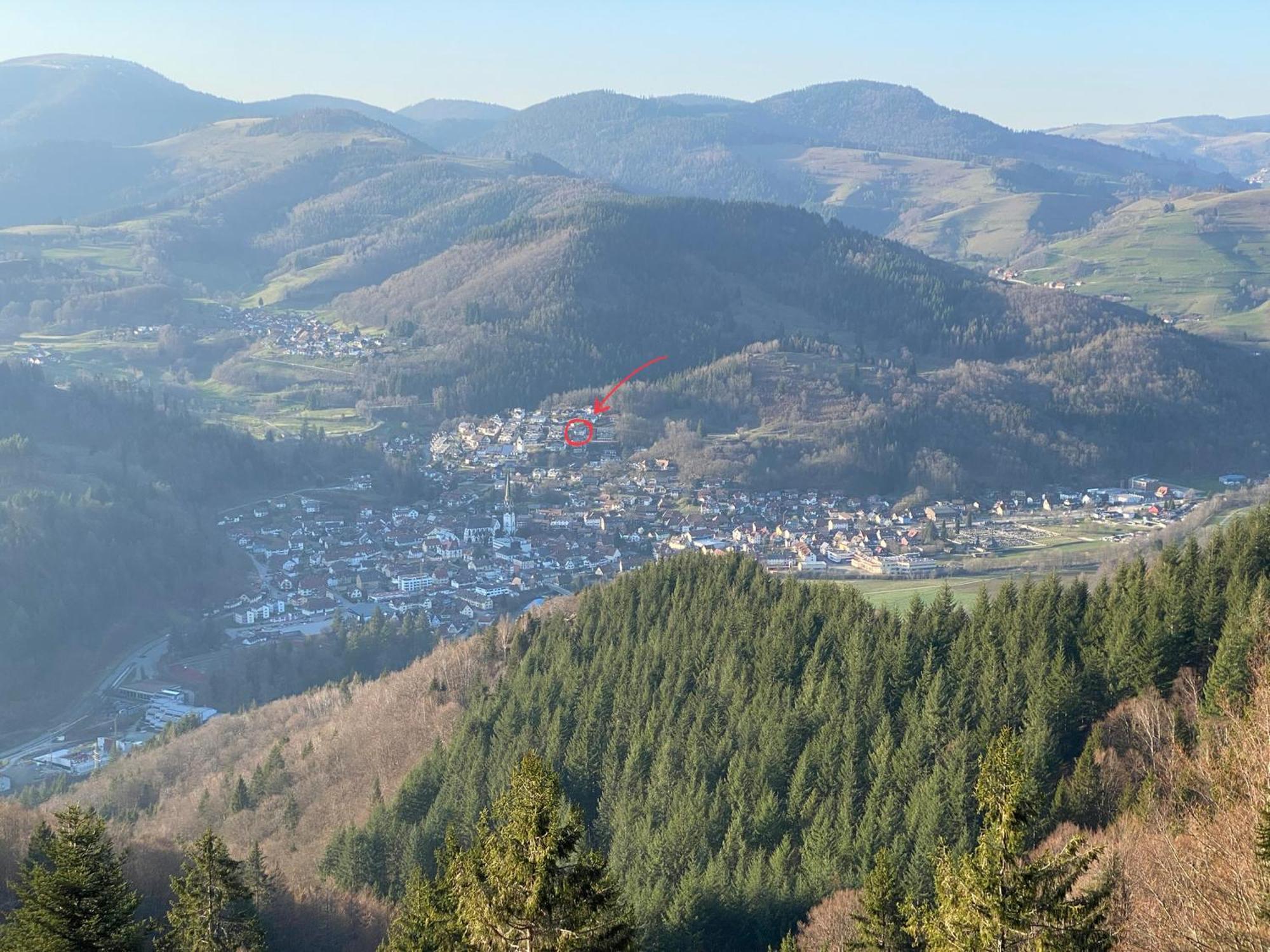 Schönau im Schwarzwald Ferienwohnung Traumblick מראה חיצוני תמונה